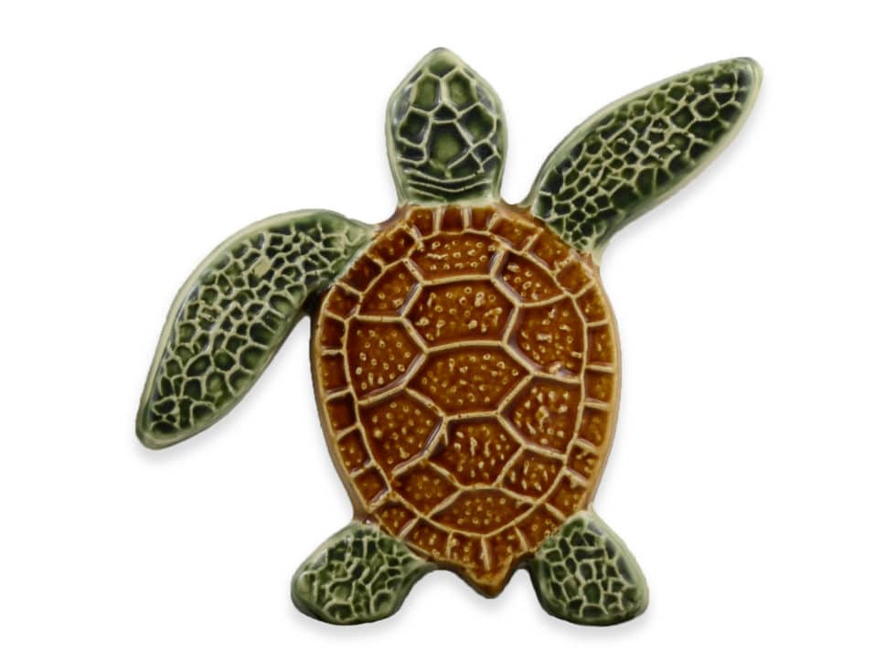 Turtle Right Up - Natural - 5x5 - Aquabella