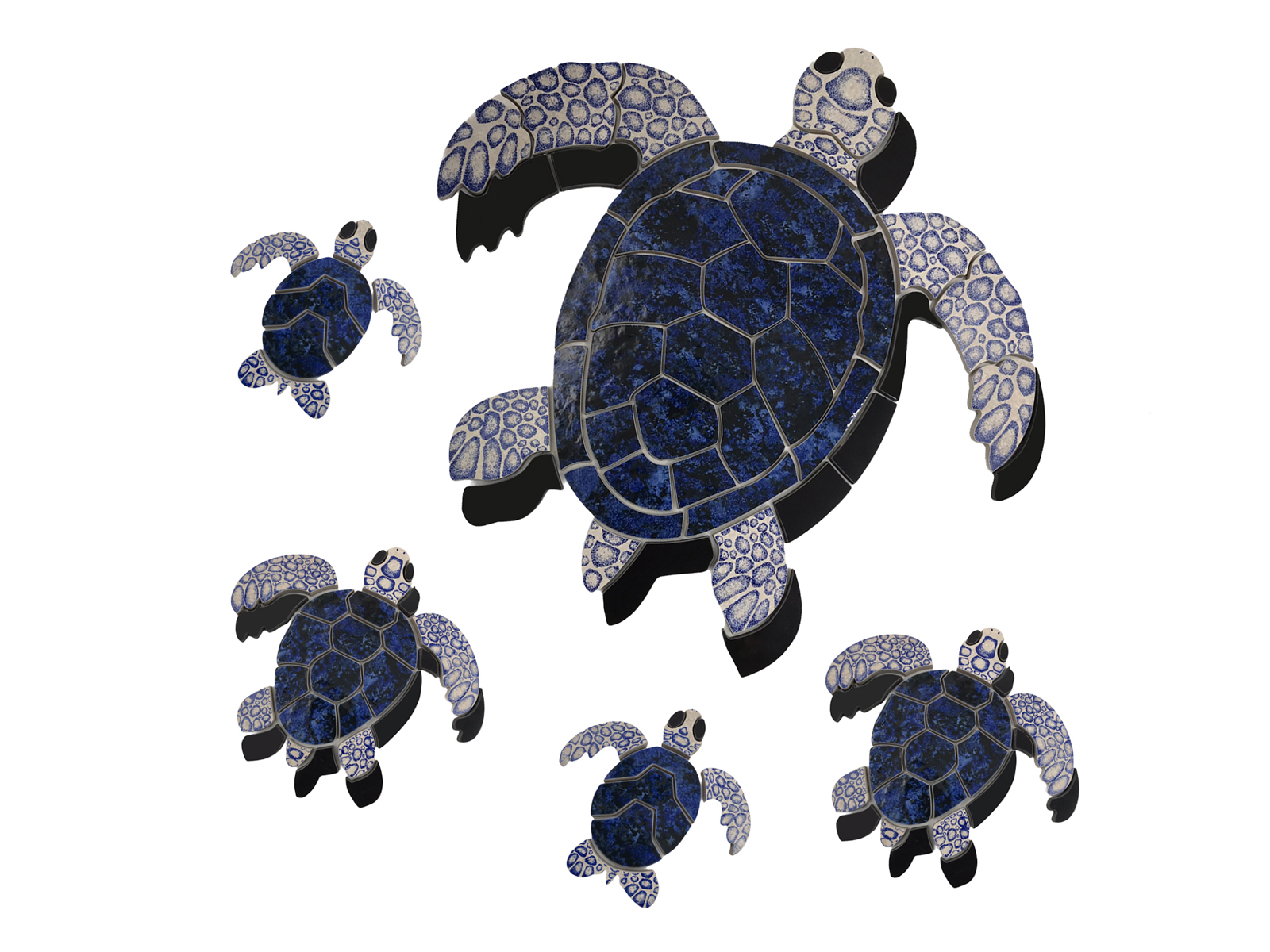 Dark Turtle Family - Aquabella