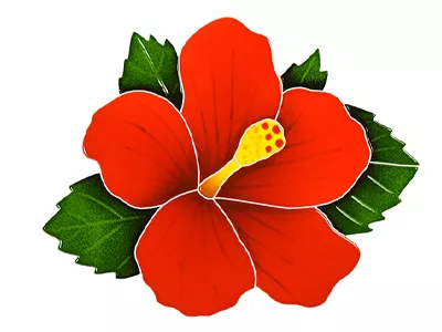 Hibiscus – Red – 9 in x 10 in