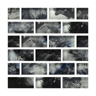 Flora - 1"x2", Agave