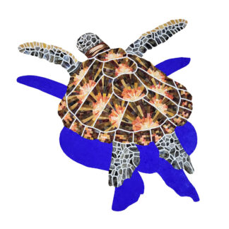 Loggerhead Turtle Mosaic with Shadow