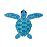 Loggerhead Turtle Mini Accent (Type: B, Color: Aqua)