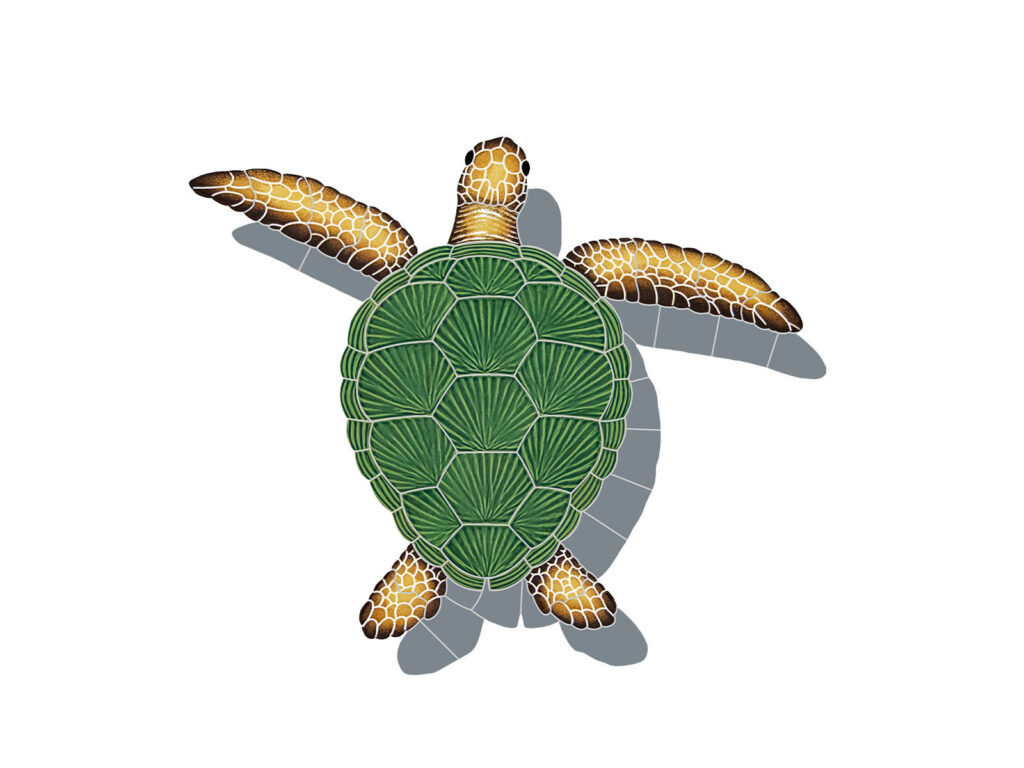 Loggerhead Turtle Mosaic (Type: With Shadow, Size: Large, Color: Natural)