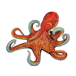 Pool Mosaics - Sea Life