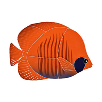 Fishes Mosaics - Tiger Tang, Orange