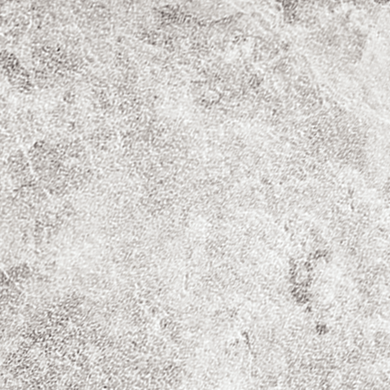 Silver Pearl Coping Silver Pearl